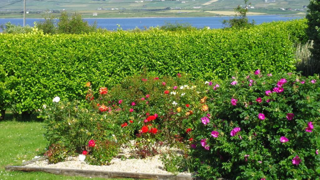 Cul Draiochta B&B V23D540 Cahersiveen Eksteriør bilde